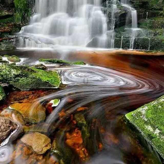 雷竞技比分